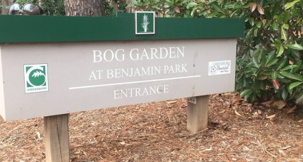 Bog Garden At Benjamin Park